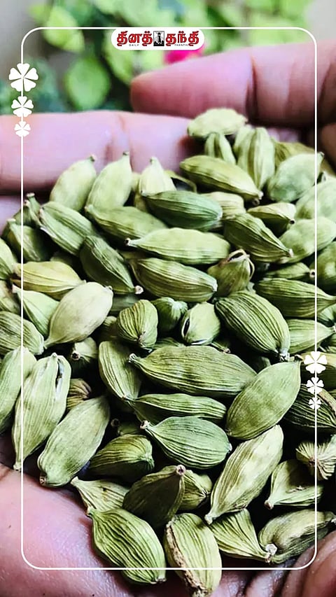 மருத்துவ குணம் நிறைந்த ஏலக்காய்..!