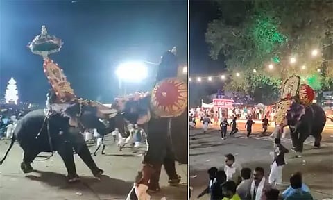 கேரளா: கோவில் திருவிழாவில் மோதிக்கொண்ட யானைகள்-அலறியடித்து பக்தர்கள் ஓட்டம்