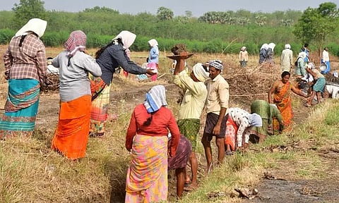 100 நாள் வேலை ஊதியத்தை உயர்த்தியது மத்திய அரசு