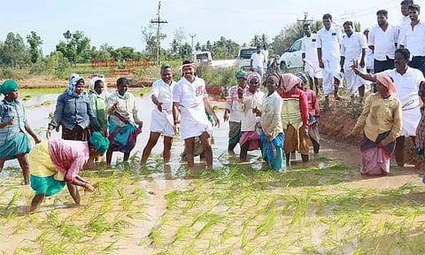வயலில் நாற்று நட்டு வாக்கு சேகரிப்பில் ஈடுபட்ட அ.தி.மு.க. வேட்பாளர்