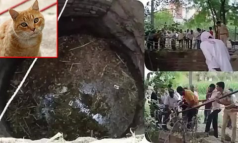 கிணற்றில் விழுந்த பூனை: மீட்க முயன்ற 5 பேர் பலி