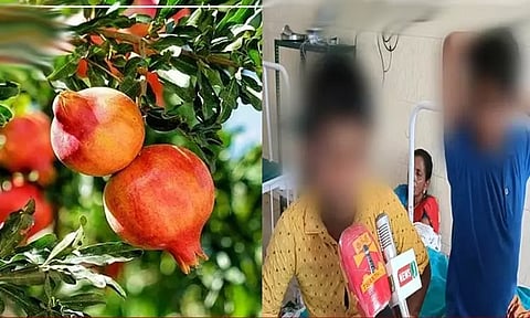 மாதுளை பழம் பறித்த சிறுவர்களை கட்டி வைத்து காலில் சூடு வைத்த பெண்