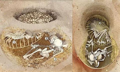 6 ஆயிரம் ஆண்டுகளுக்கு முன்பே ஐரோப்பாவில் மனித உயிர்ப்பலி... அதிர்ச்சி தகவல்