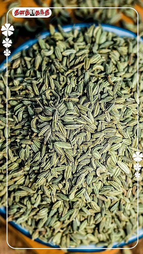 அன்றாட உணவில் சோம்பு சேர்ப்பதால் ஏற்படும் நன்மைகள்..!