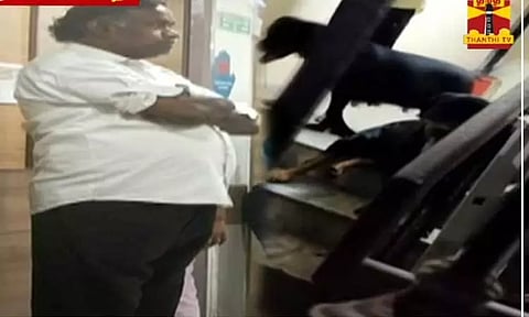 சென்னை: வளர்ப்பு நாய்கள் கடித்ததில் 5 வயது சிறுமி படுகாயம்