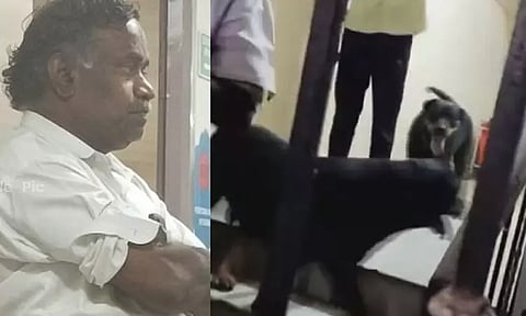 வளர்ப்பு நாய்கள் கடித்ததில் 5 வயது சிறுமி படுகாயம்: 3 பேர் கைது