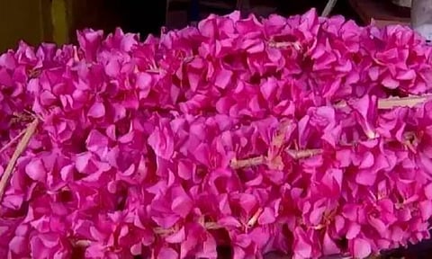 சபரிமலை உள்பட கோவில்களில் நடத்தப்படும் பூஜையில் அரளிப்பூ பயன்பாட்டுக்கு தடை