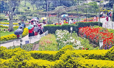 கொடைக்கானலில் கோடைவிழா நாளை தொடங்குகிறது