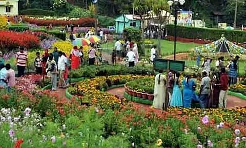 கொடைக்கானல் மலர்க் கண்காட்சி நுழைவுக் கட்டணம் உயர்வு