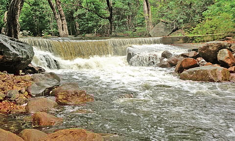 Temporary closure of Thalaiyanai