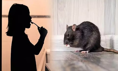 தூக்க கலக்கத்தில் பற்பசை என நினைத்து எலி பசையில் பல் துலக்கிய பெண் உயிரிழப்பு