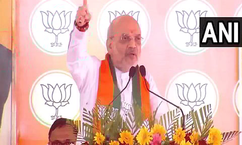 '5 கட்ட தேர்தலில் பா.ஜனதா 310 இடங்களை கைப்பற்றியுள்ளது' - அமித்ஷா