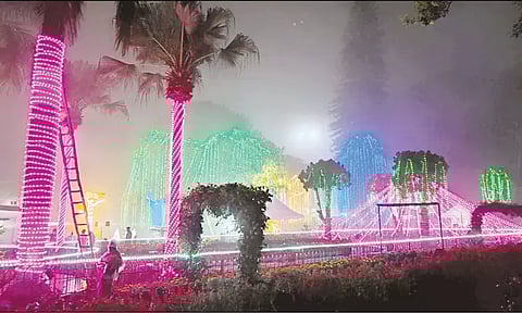 ஏற்காட்டில் கோடை விழா-மலர் கண்காட்சி இன்று தொடக்கம்