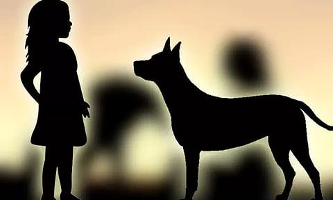 வளர்ப்பு நாய் கடித்து 10-வயது சிறுமி படுகாயம்