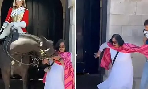 ஒரு கடி கடித்த குதிரை