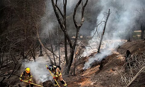 சிலி நாட்டில் 137 பேரை பலி கொண்ட காட்டுத்தீயை ஏற்படுத்திய வனத்துறை அதிகாரி கைது