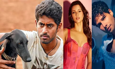 Dhadak 2: Siddhant Chaturvedi and Triptii Dimri starrer confirmed to be a remake of Pa Ranjith’s Tamil film Pariyerum Perumal