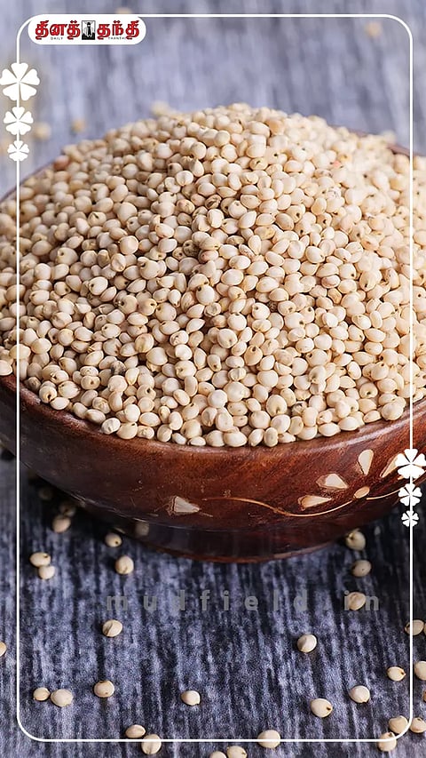வெள்ளை சோளத்தை உணவில் சேர்த்துக் கொள்வதால் ஏற்படும் நன்மைகள்..!