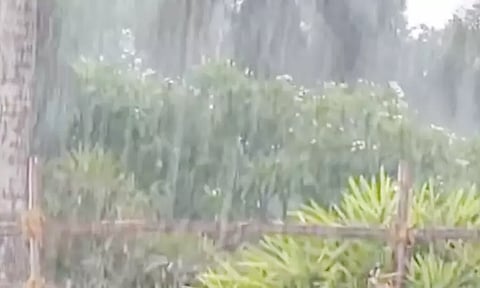 பரபரப்பான தேர்தல் முடிவு நேரத்தில் பெய்த மழை...சென்னையில் குளிர்ச்சி