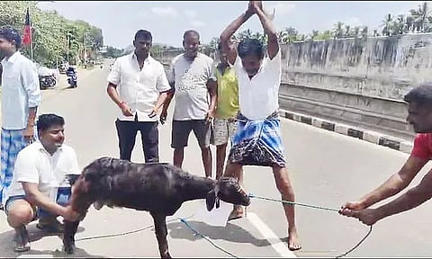 அண்ணாமலைக்கு எதிராக கோஷம்: நடுரோட்டில் வெட்டப்பட்ட ஆடு - சமூக வலைதளங்களில் வைரலானதால் பரபரப்பு