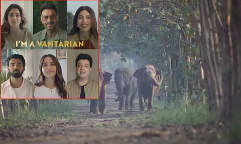 உலக சுற்றுச்சூழல் தினம்: அம்பானி குழுமத்தின் வனவிலங்குகள் காப்பகம் வெளியிட்ட விழிப்புணர்வு வீடியோ