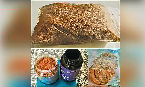 திருவண்ணாமலை காட்டுப்பகுதியில் போதை விருந்து - ரஷிய பெண் கைது