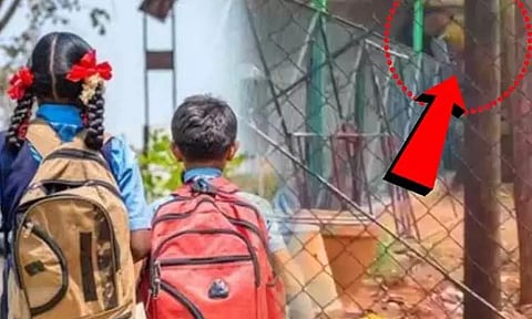 சிறுத்தை நடமாட்டம்: திருப்பத்தூரில் பள்ளிகளுக்கு நாளை விடுமுறை