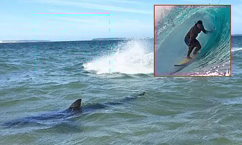 சுறா கொடூர தாக்குதல்; பைரேட்ஸ் ஆப் தி கரீபியன் பட நடிகர் மரணம்