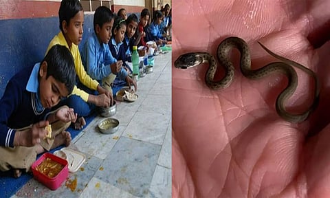 சத்துணவில் இறந்து கிடந்த பாம்பு