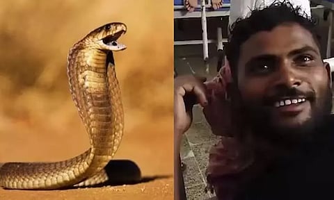 தன்னைக் கடித்த பாம்பை கடித்தே கொன்ற நபர்