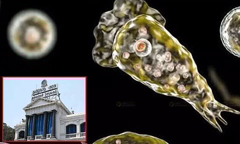 மூளையை தின்னும் அமீபா பாதிப்பு குறித்து வழிகாட்டுதல்களை வெளியிட்டது தமிழக அரசு