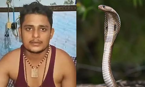 இளைஞரை தேடி வந்து கடிக்கும் பாம்புகள்