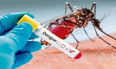 தமிழ்நாட்டில் கடந்த 7 நாட்களில் 568 பேர் டெங்குவால் பாதிப்பு