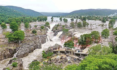 காவிரி நீர்ப்பிடிப்பு பகுதிகளில் கனமழை... ஒகேனக்கலில் தொடரும் வெள்ளப்பெருக்கு