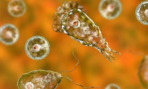 கோப்புப்படம்