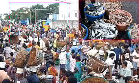 சென்னை காசிமேட்டில் அதிகாலையிலேயே குவிந்த மீன் பிரியர்கள்