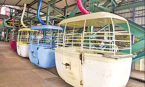 சூறாவளி காற்று: பழனி முருகன் கோவிலில் ரோப்கார் சேவை பாதிப்பு