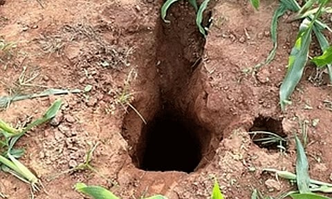 மத்திய பிரதேசத்தில் ஆழ்துளை கிணற்றில் விழுந்த சிறுமி - மீட்பு பணி தீவிரம்