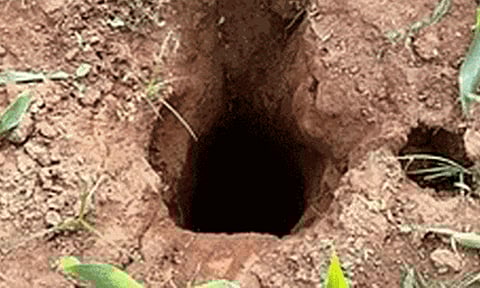 மத்தியபிரதேசம்: ஆழ்துளை கிணற்றுக்குள் விழுந்த சிறுமி உயிரிழப்பு