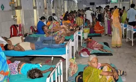 குஜராத்; சண்டிப்புரா வைரஸ் பாதிப்புக்கு 56 பேர் பலி