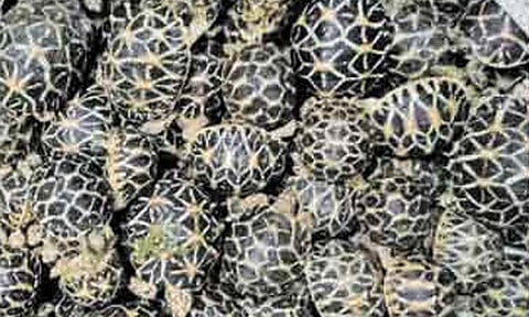 கோப்புப்படம் 