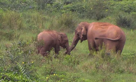 கோப்புப்படம்