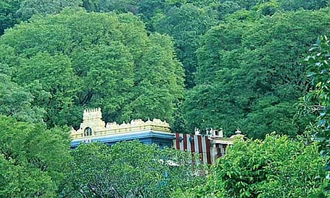 திருமலை நம்பி கோவில்