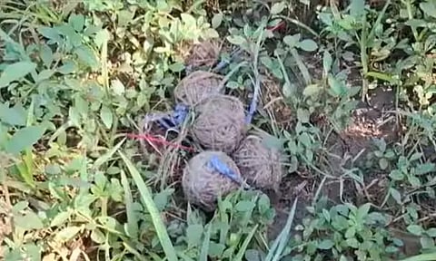 நத்தம் அருகே குடியிருப்பு பகுதியில் நாட்டு வெடிகள் கிடந்ததால் பரபரப்பு... இருவர் கைது