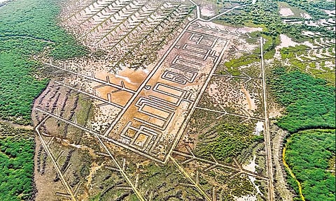 அலையாத்திக்காட்டில் தமிழ் வாழ்க எழுத்து வடிவில் வாய்க்கால் அமைப்பு