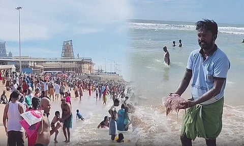 திருச்செந்தூர் கடற்கரையில் கரை ஒதுங்கிய ஜெல்லி மீன்கள் - பக்தர்கள் அச்சம்