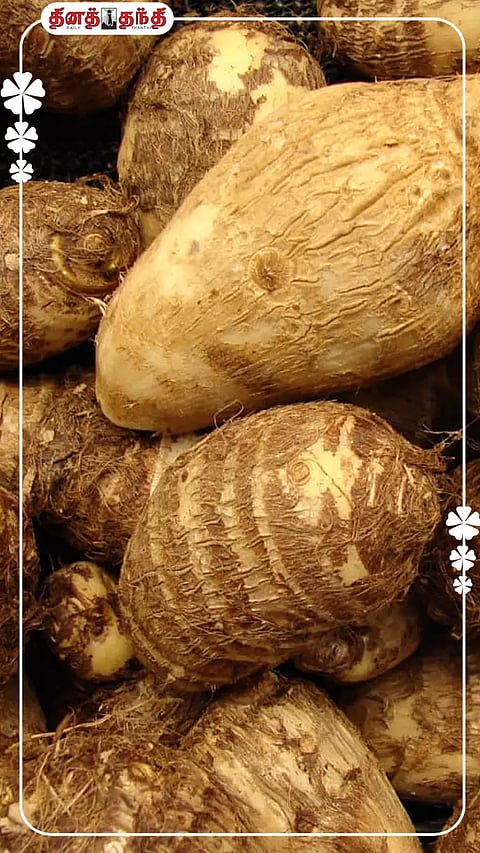 சேப்பங்கிழங்கு சாப்பிடுங்க..கிடைக்கும் பலனை பாருங்க..
