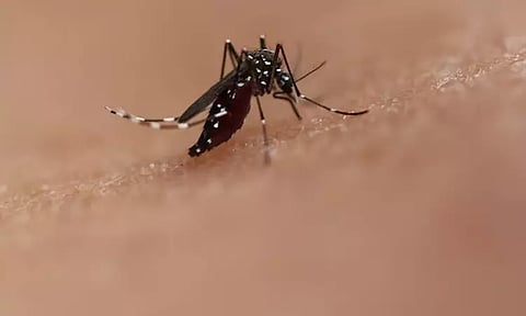 கர்நாடகாவில் டெங்கு தொற்று நோயாக அறிவிப்பு