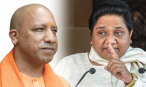 புல்டோசர் அரசியலை நிறுத்திவிட்டு வன விலங்குகளை கட்டுப்படுத்துங்கள்... யோகி ஆதித்யநாத்துக்கு மாயாவதி அறிவுரை