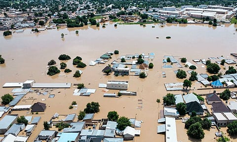 நைஜீரியாவில் கனமழை: வெள்ளத்தில் அடித்து வரப்பட்ட வனவிலங்குகள்